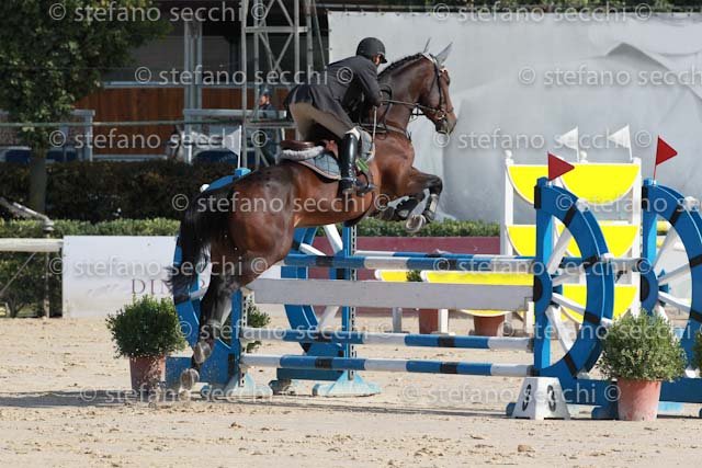 DE CESARIS_STAREC_GIO CAV 2011_SS3_0664.jpg